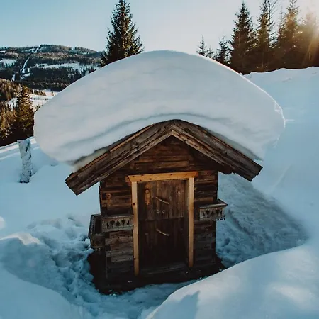 Alpesi faház Stegerhuette Hinterstoder